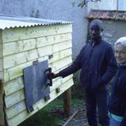 après-midi_trappe_accès poule