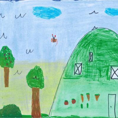 le jardin de permaculture tels qu'ils l'imaginent 8